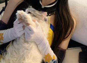从视频看91吃瓜：男人们的不言而喻果然有道理！