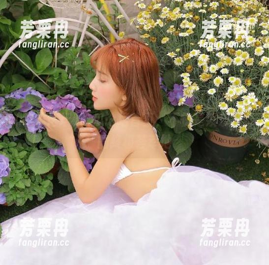 吃瓜论坛 吃瓜论坛首页,不愧是娱乐八卦的终极荟萃地