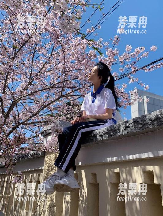 官网要不要改名叫‘黑料不打烊视频帝国’？瓜就不怕来！