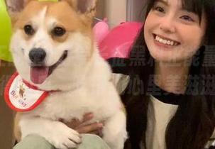 万篇长征黑料正能量：免费获得的瓜，吃得我心里美滋滋！