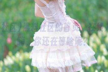 黑料社区的首页，在线八卦到嗨，你还在等啥呢？